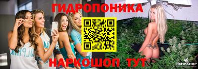амфетамин Кингисепп